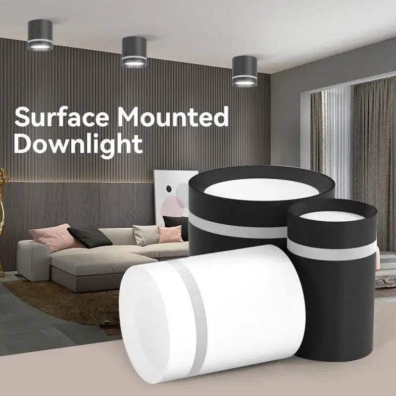 Modern black & white led spot lighting living room downlight