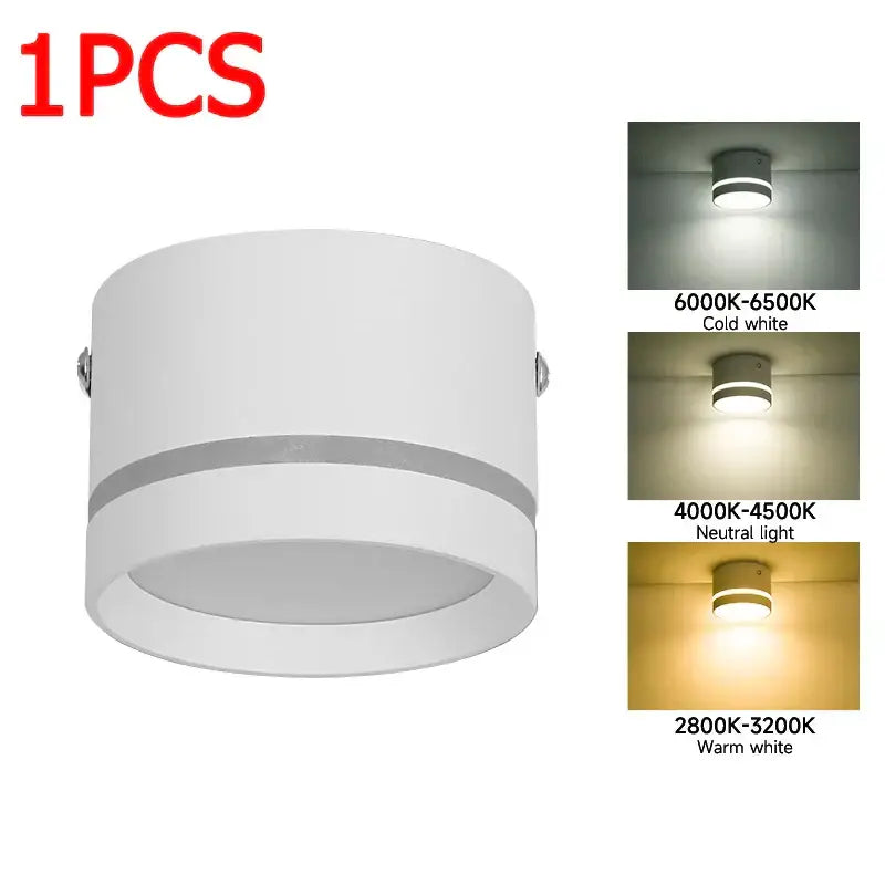 Modern black & white led spot lighting living room downlight