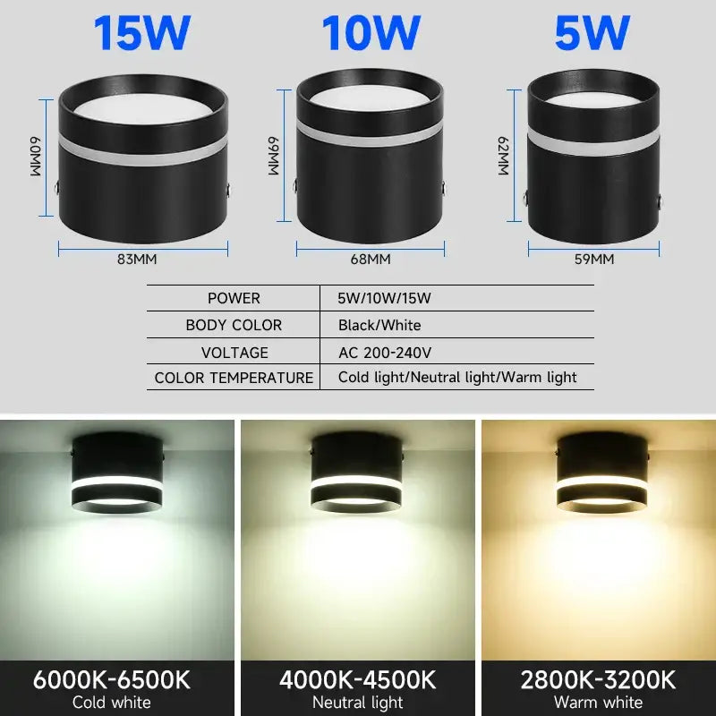 Modern black & white led spot lighting living room downlight