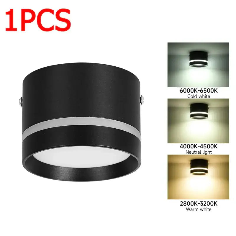 Modern black & white led spot lighting living room downlight