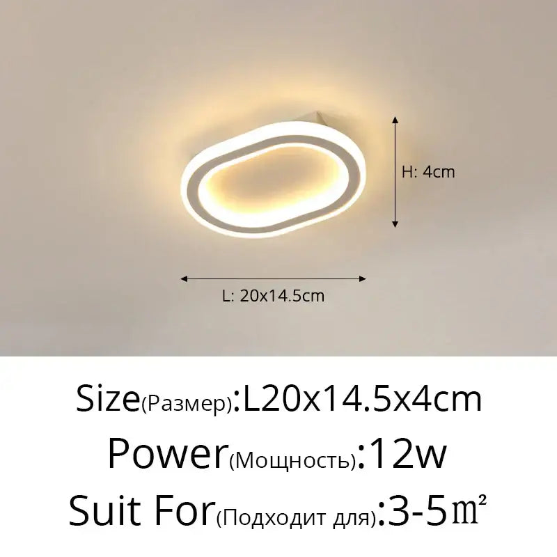 Modern oval black led strip ceiling lights for bedroom living room