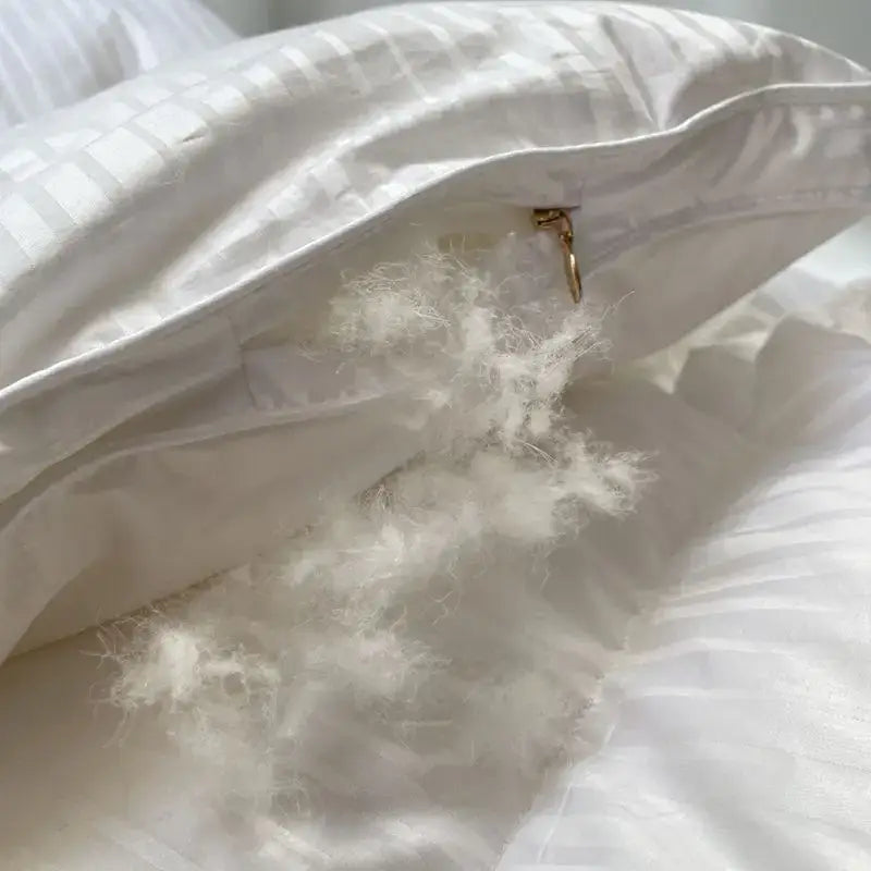 Decorbites luxe goose down white quilted comforter bedroom duvet