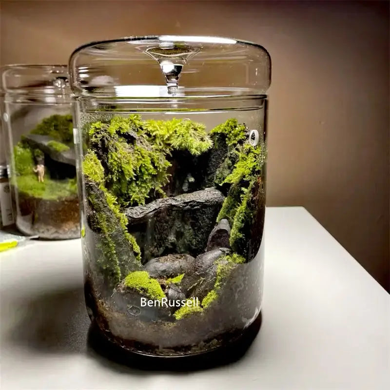 Miniature forest landscape glass bottle – living room home decor