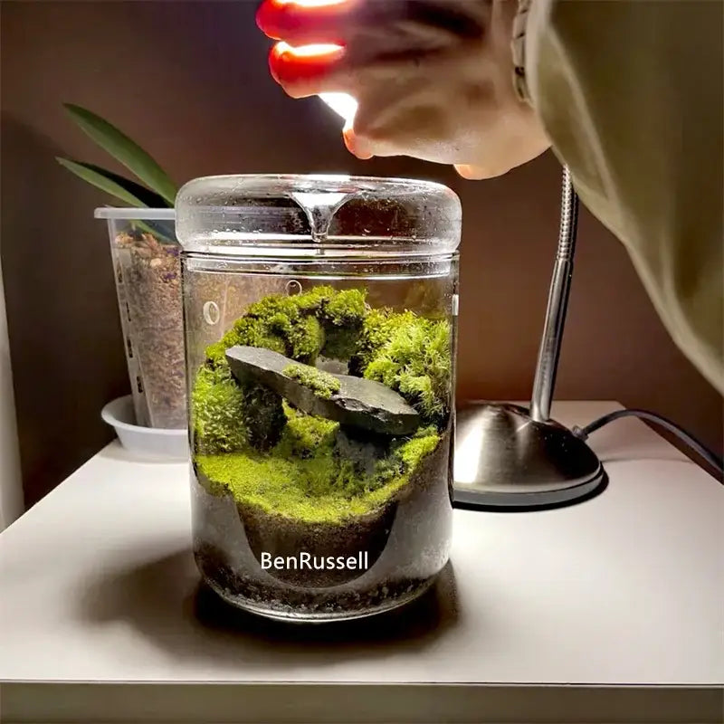 Miniature forest landscape glass bottle – living room home decor