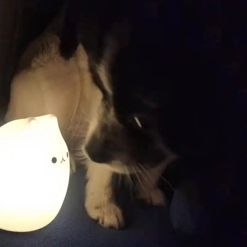 Mini popular cat white silicone night lamp bedroom eye protection