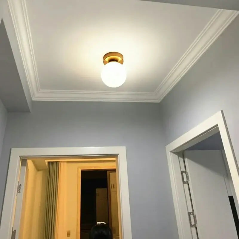Modern brass ball ceiling light for living room with frosted glass
