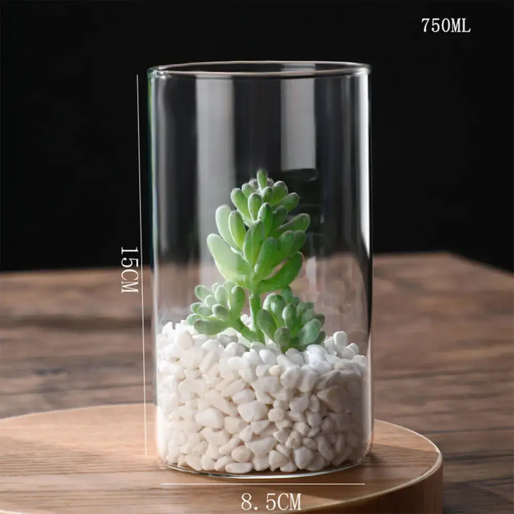 Modern glass hydroponic vase living room wedding decor fish tank