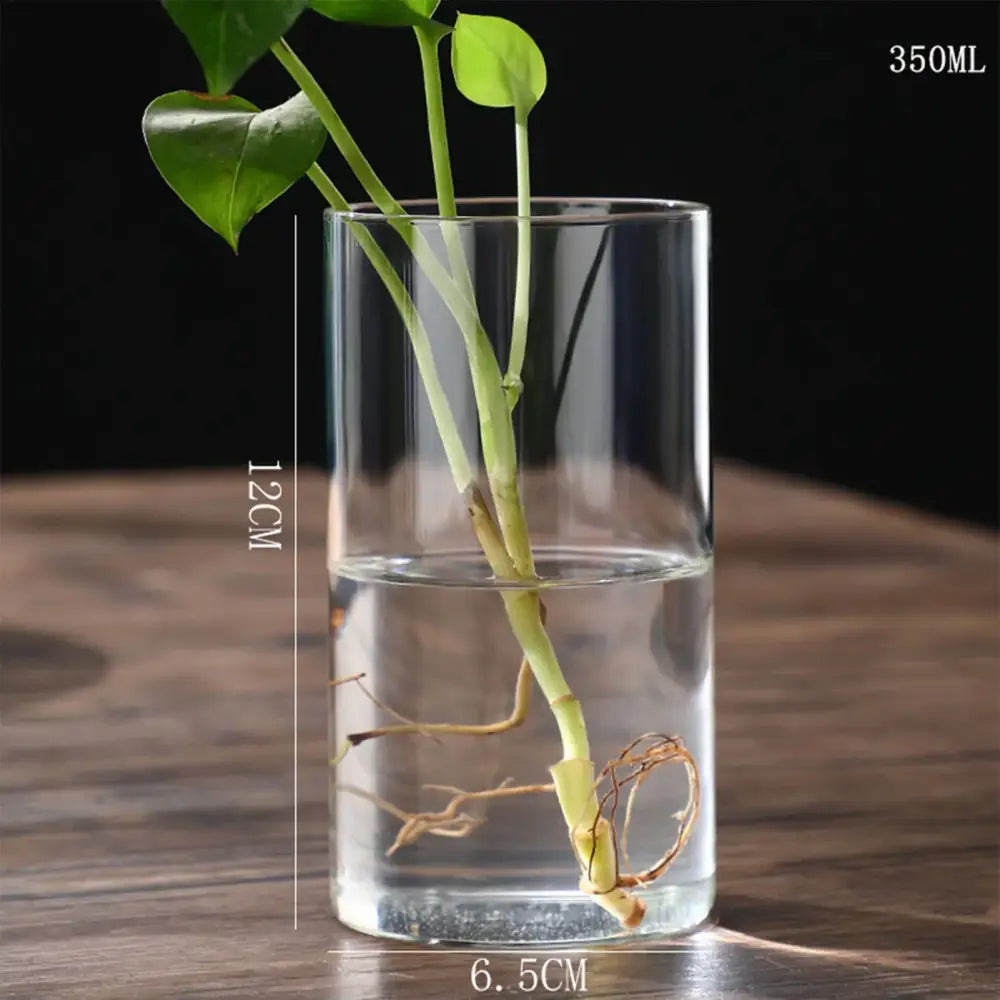 Modern glass hydroponic vase living room wedding decor fish tank