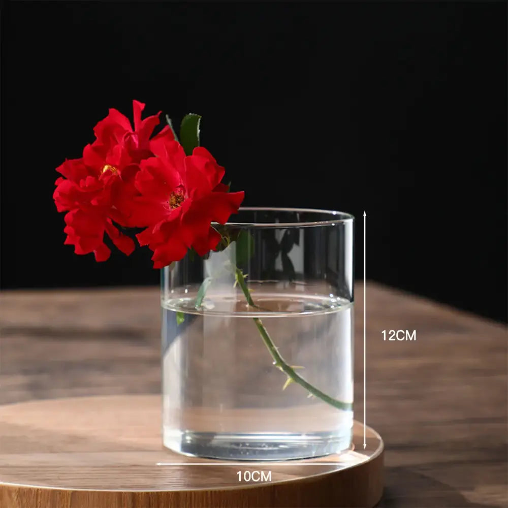 Modern glass hydroponic vase living room wedding decor fish tank