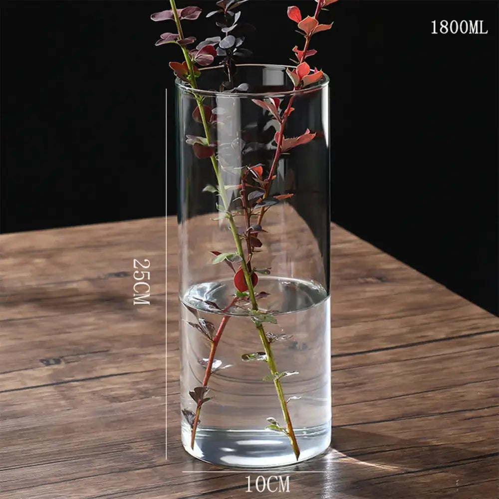 Modern glass hydroponic vase living room wedding decor fish tank