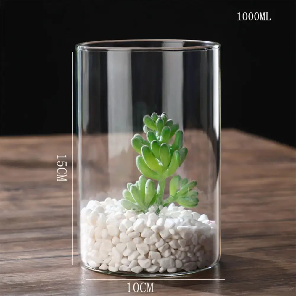 Modern glass hydroponic vase living room wedding decor fish tank