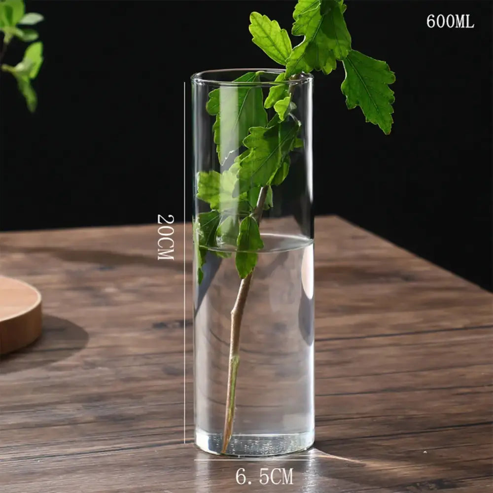 Modern glass hydroponic vase living room wedding decor fish tank