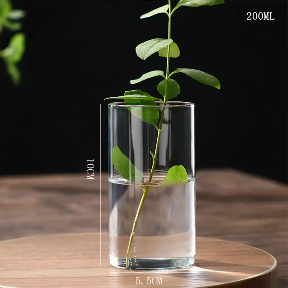 Modern glass hydroponic vase living room wedding decor fish tank