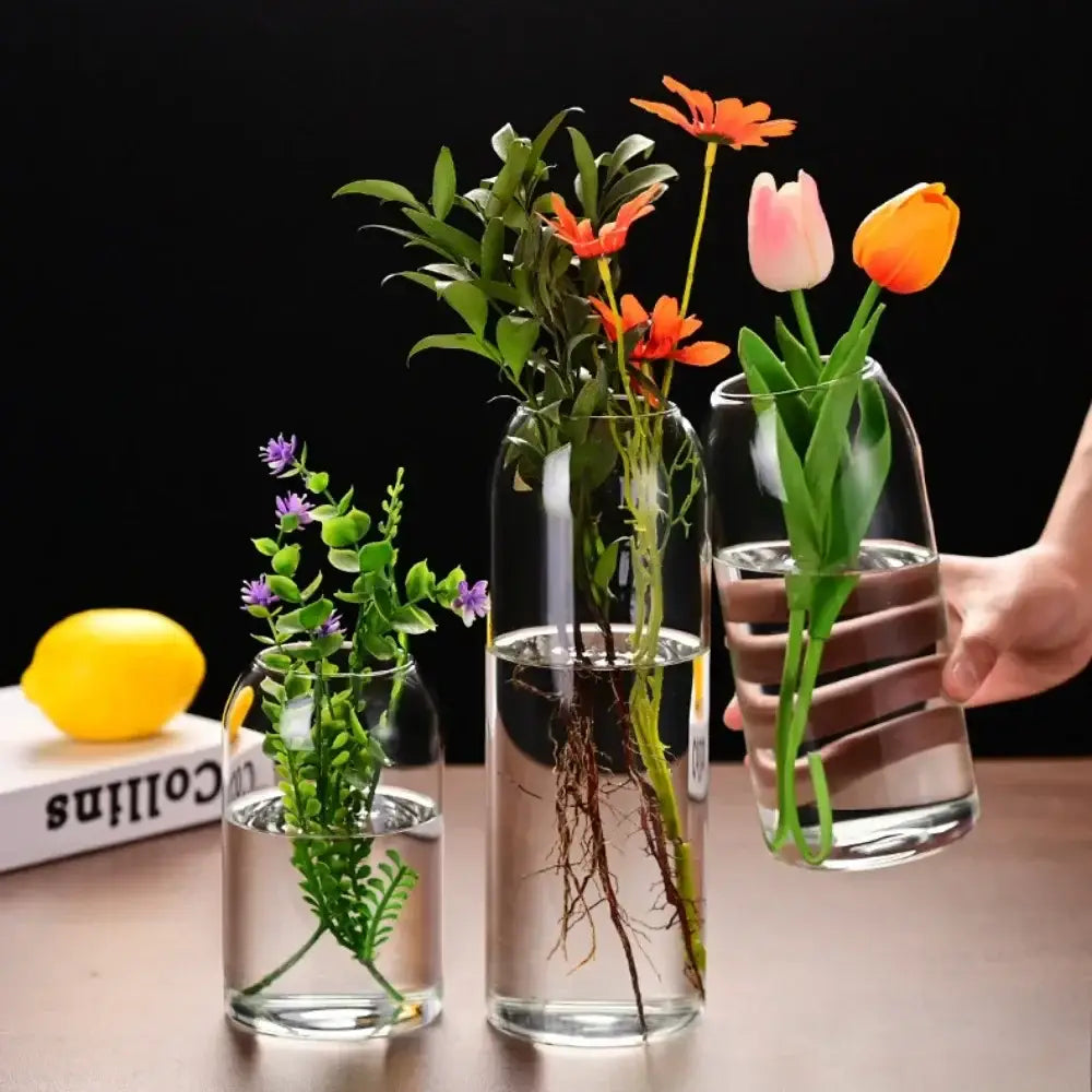 Modern hydroponic plant glass flower vase for living room decor