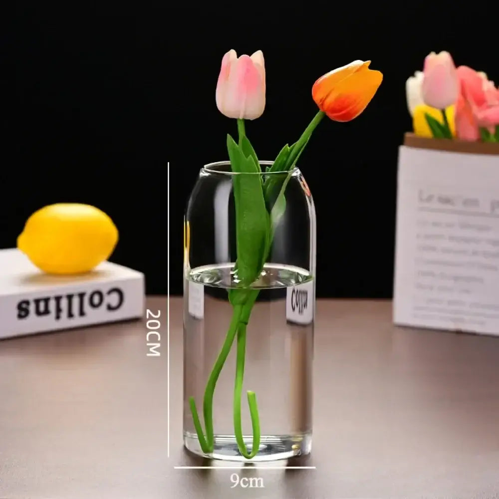 Modern hydroponic plant glass flower vase for living room decor
