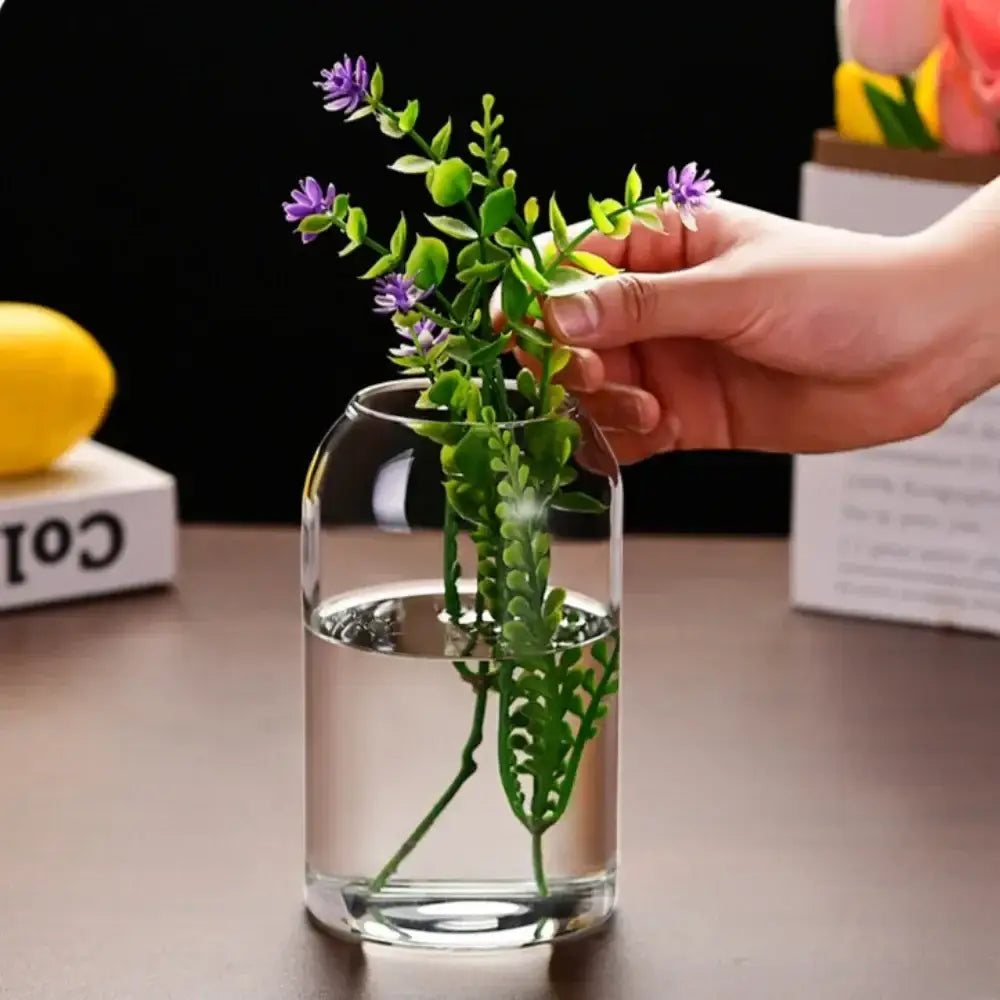 Modern hydroponic plant glass flower vase for living room decor