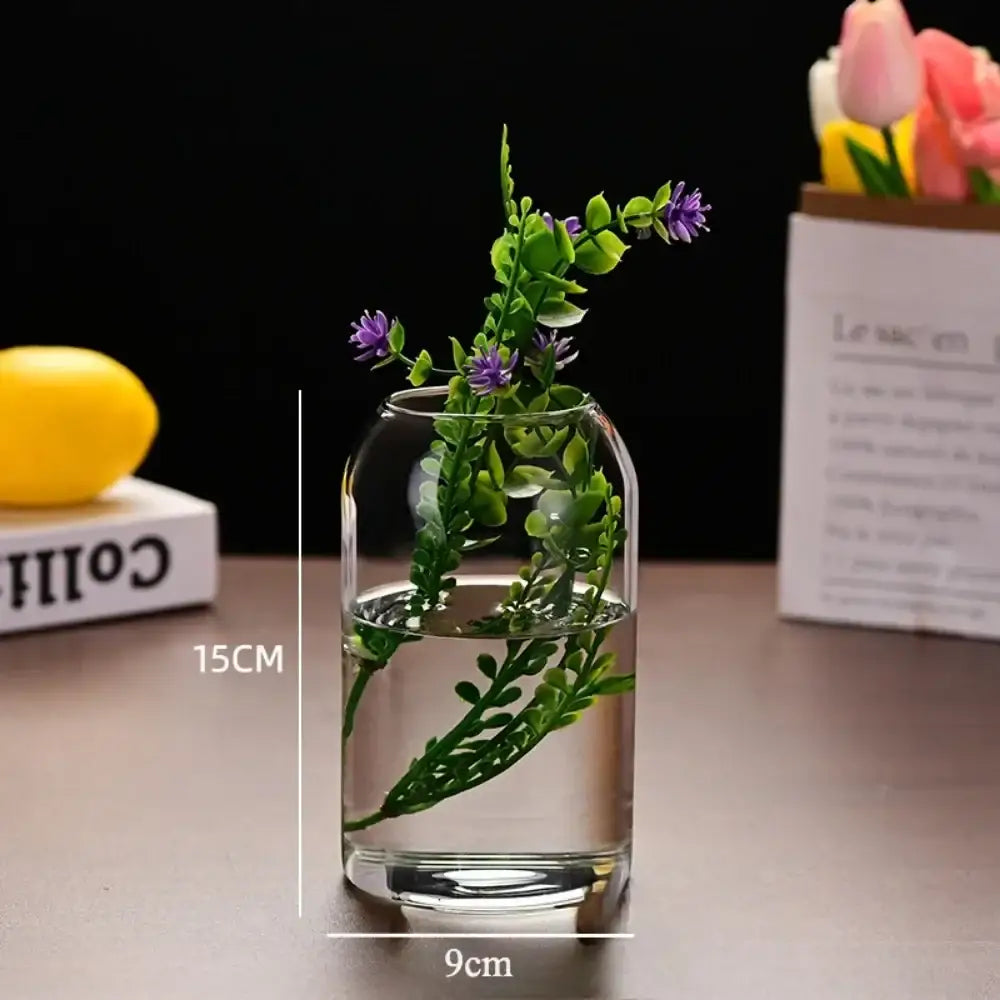 Modern hydroponic plant glass flower vase for living room decor