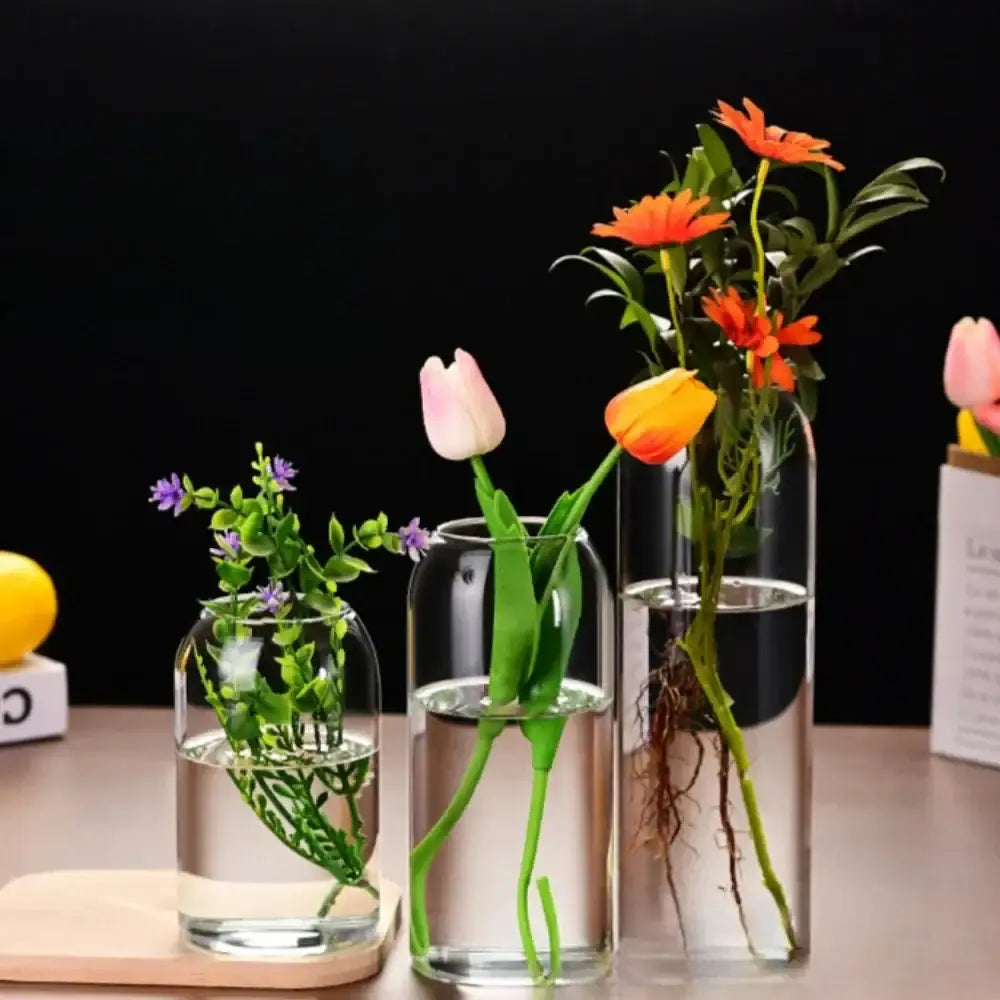Modern hydroponic plant glass flower vase for living room decor