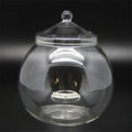 Modern moss ball glass vase desktop terrarium office decor