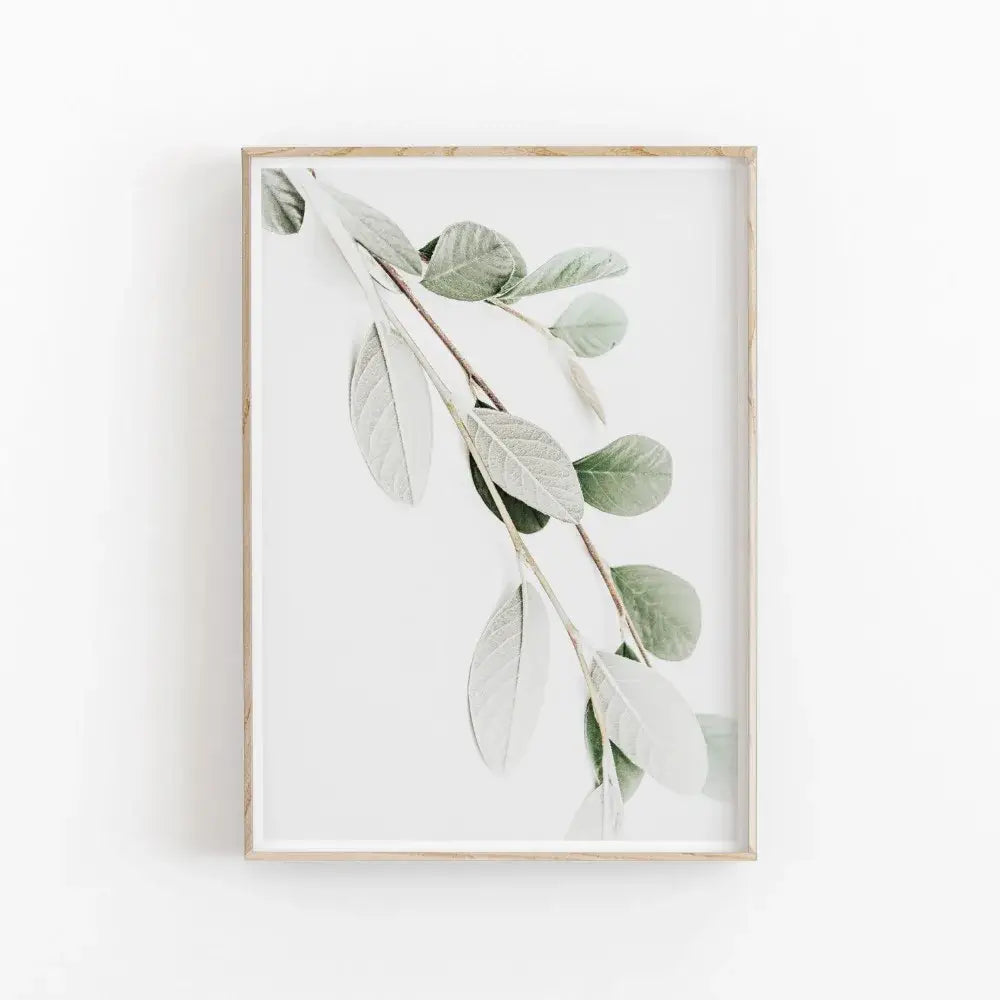 Minimalist green and grey nordic botanical poster set living room