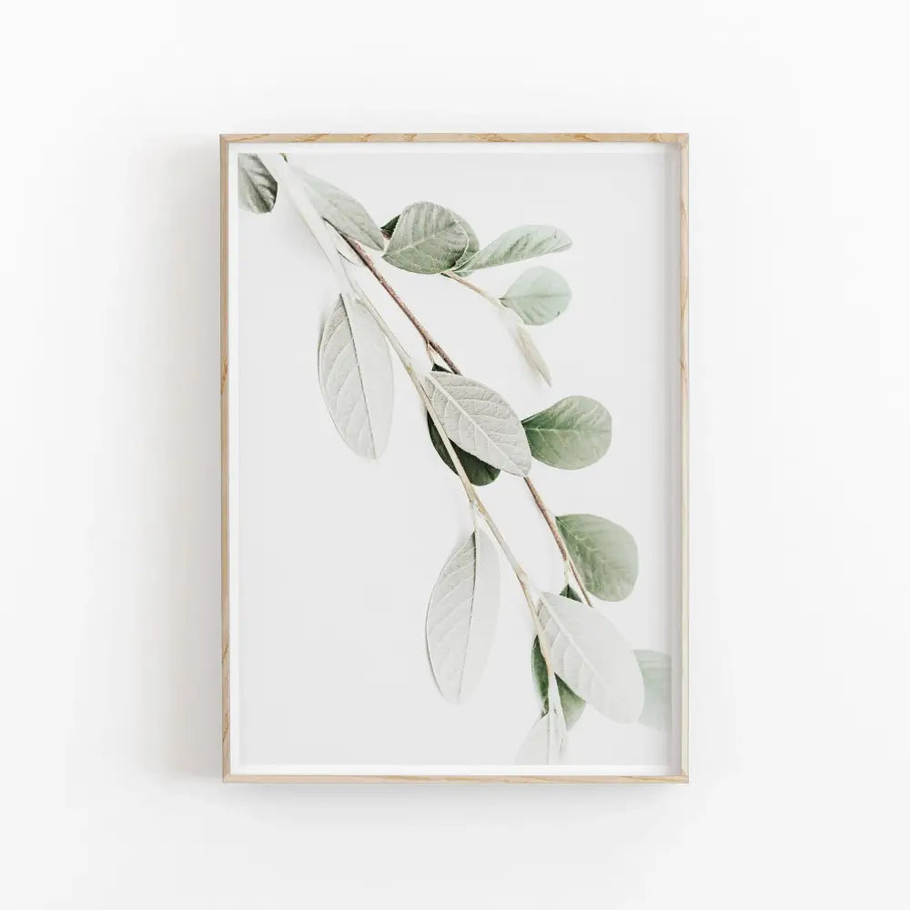 Minimalist green and grey nordic botanical poster set living room