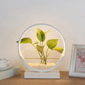 Nordic circle table lamp with hydroponics plant pot for bedroom