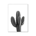 Pink aesthetic saguaro cactus wall art prints for bedroom