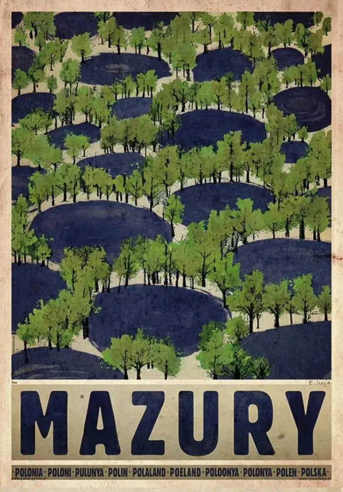 Vintage poland city mushroom forest canvas print living room art