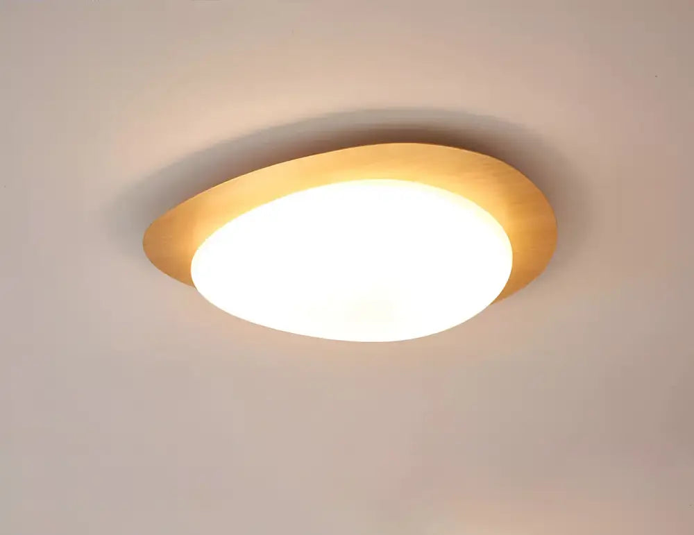 Retro walnut oval acrylic ceiling light for living room