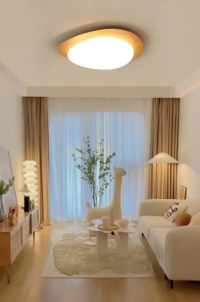 Retro walnut oval acrylic ceiling light for living room