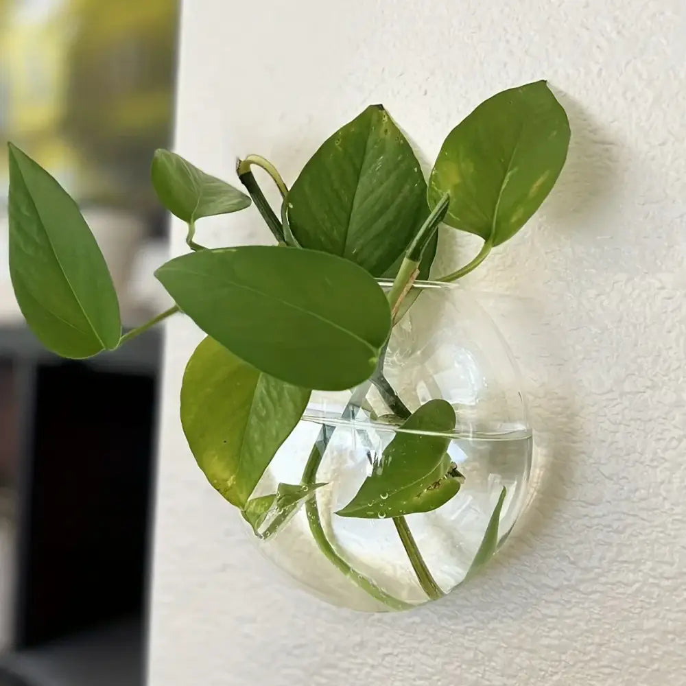 Modern spherical glass terrarium set – living room wall planters