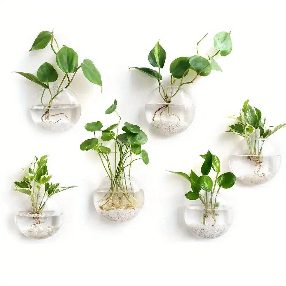 Modern spherical glass terrarium set – living room wall planters