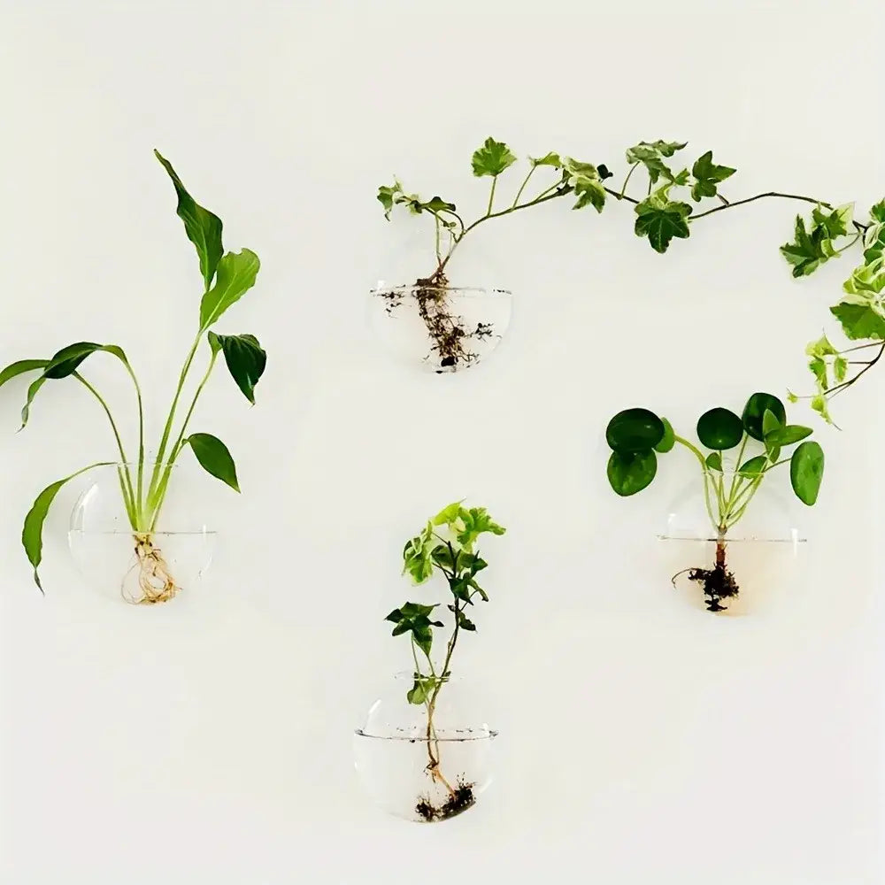 Modern spherical glass terrarium set – living room wall planters