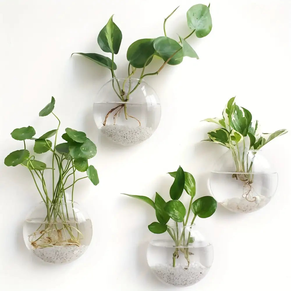 Modern spherical glass terrarium set – living room wall planters
