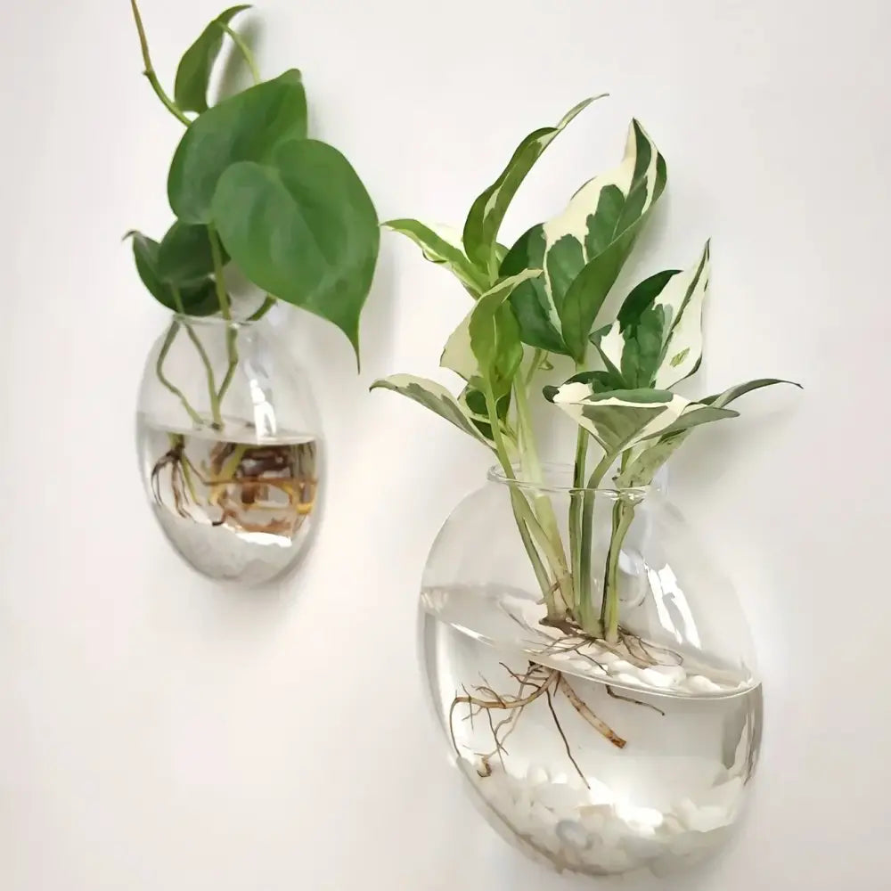 Modern spherical glass terrarium set – living room wall planters