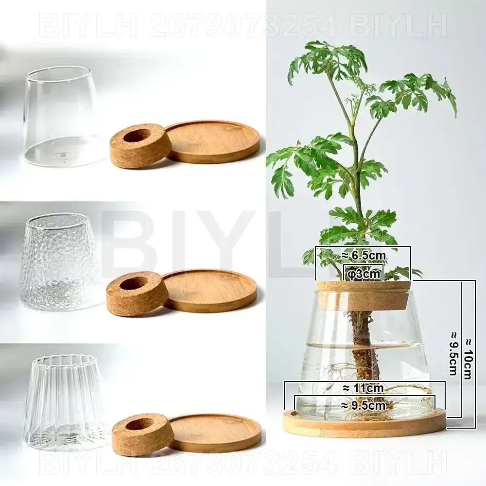 Small transparent glass vase with bamboo base for living room decor