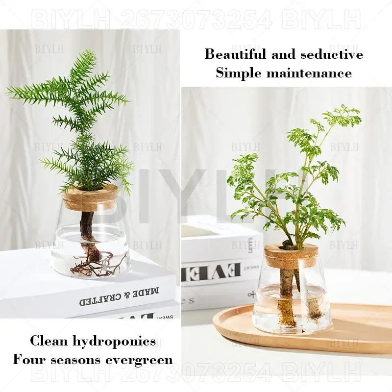 Small transparent glass vase with bamboo base for living room decor