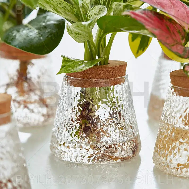 Small transparent glass vase with bamboo base for living room decor