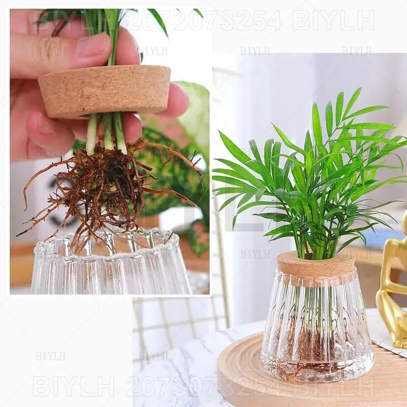 Small transparent glass vase with bamboo base for living room decor