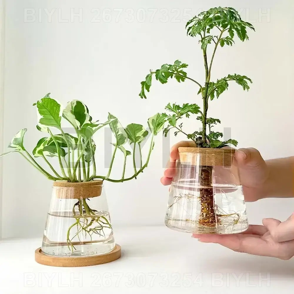 Small transparent glass vase with bamboo base for living room decor