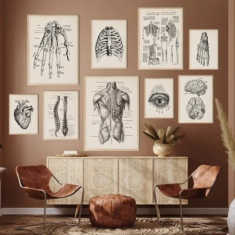 Vintage beige human digestive system anatomy artwork – kitchen wall art