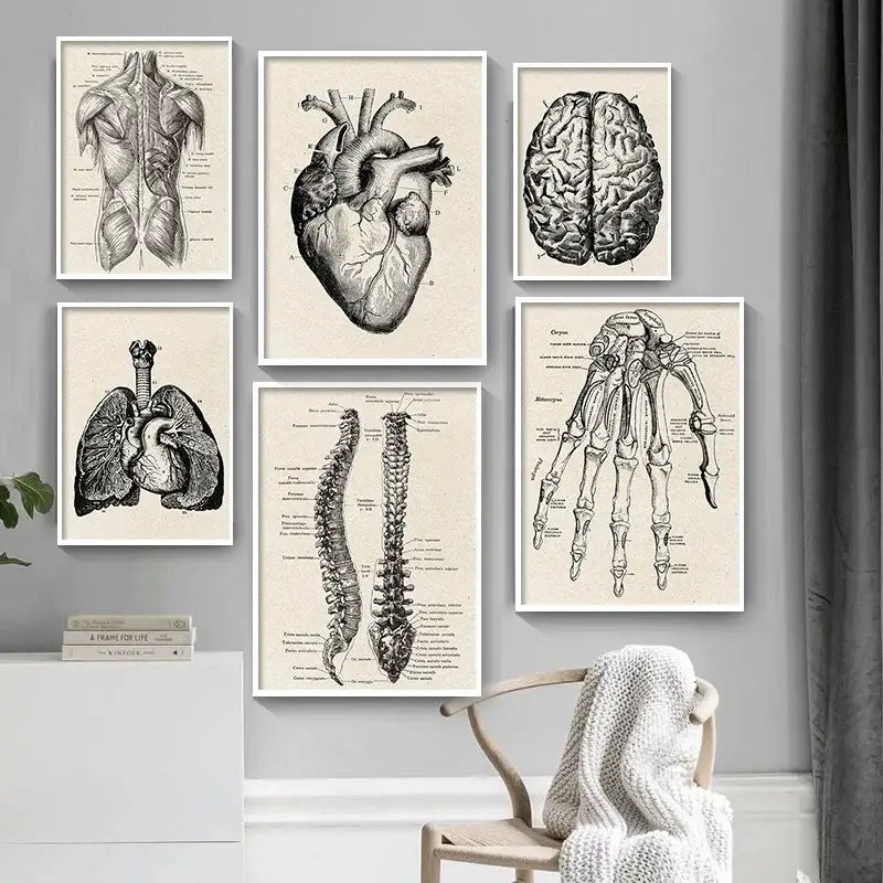 Vintage human anatomy ear canvas print medical bedroom wall art