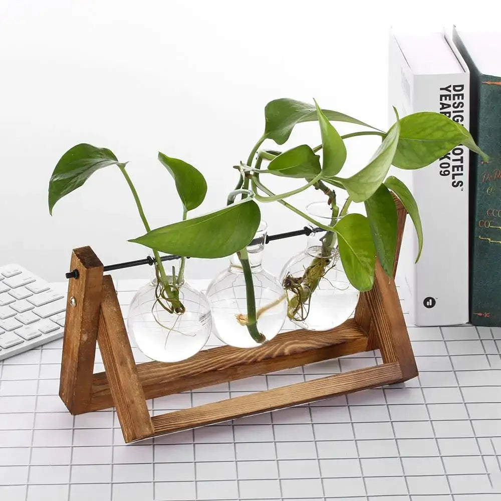 Vintage glass hydroponic plant vase living room triangular wood stand