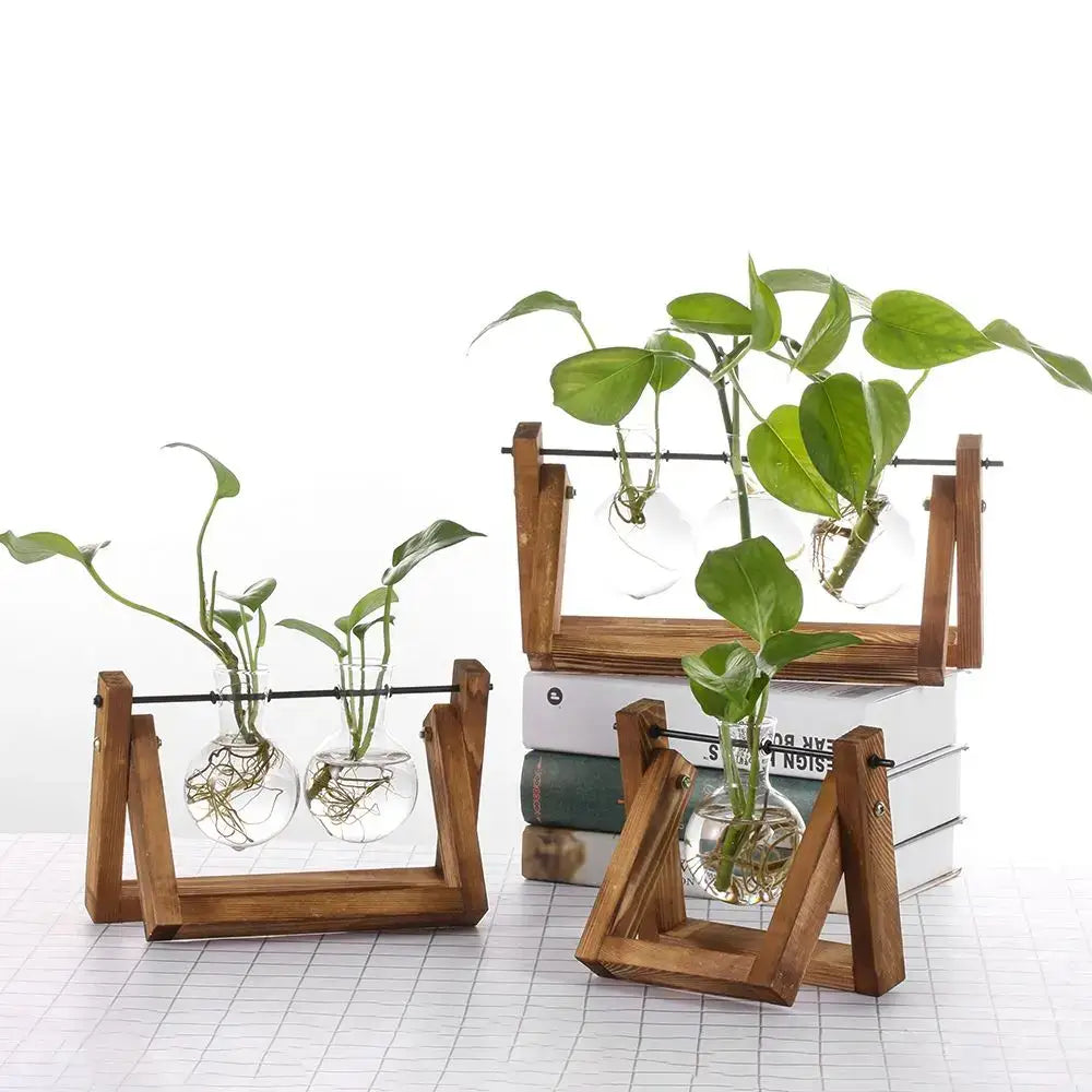 Vintage glass hydroponic plant vase living room triangular wood stand