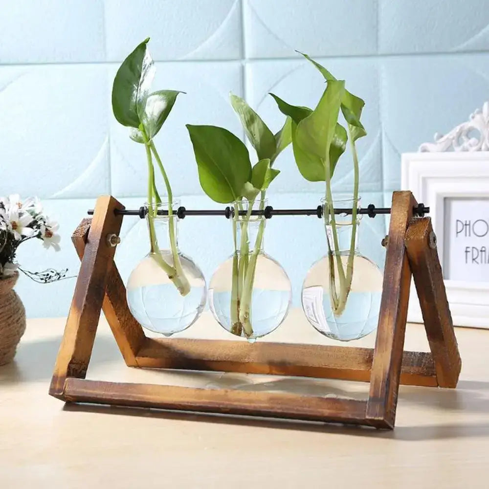 Vintage glass hydroponic plant vase living room triangular wood stand