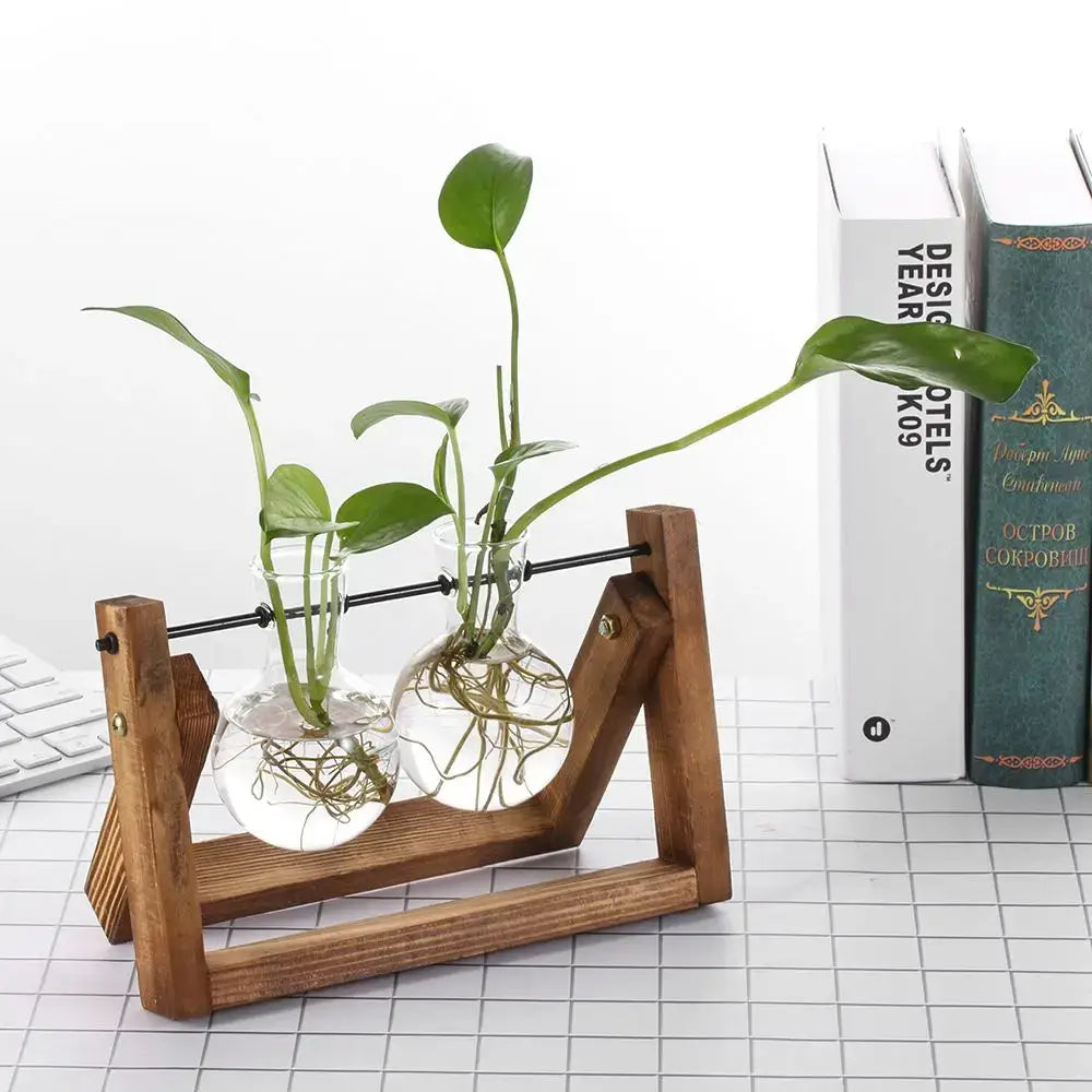 Vintage glass hydroponic plant vase living room triangular wood stand