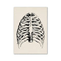 Vintage human anatomy ribcage canvas print office wall art