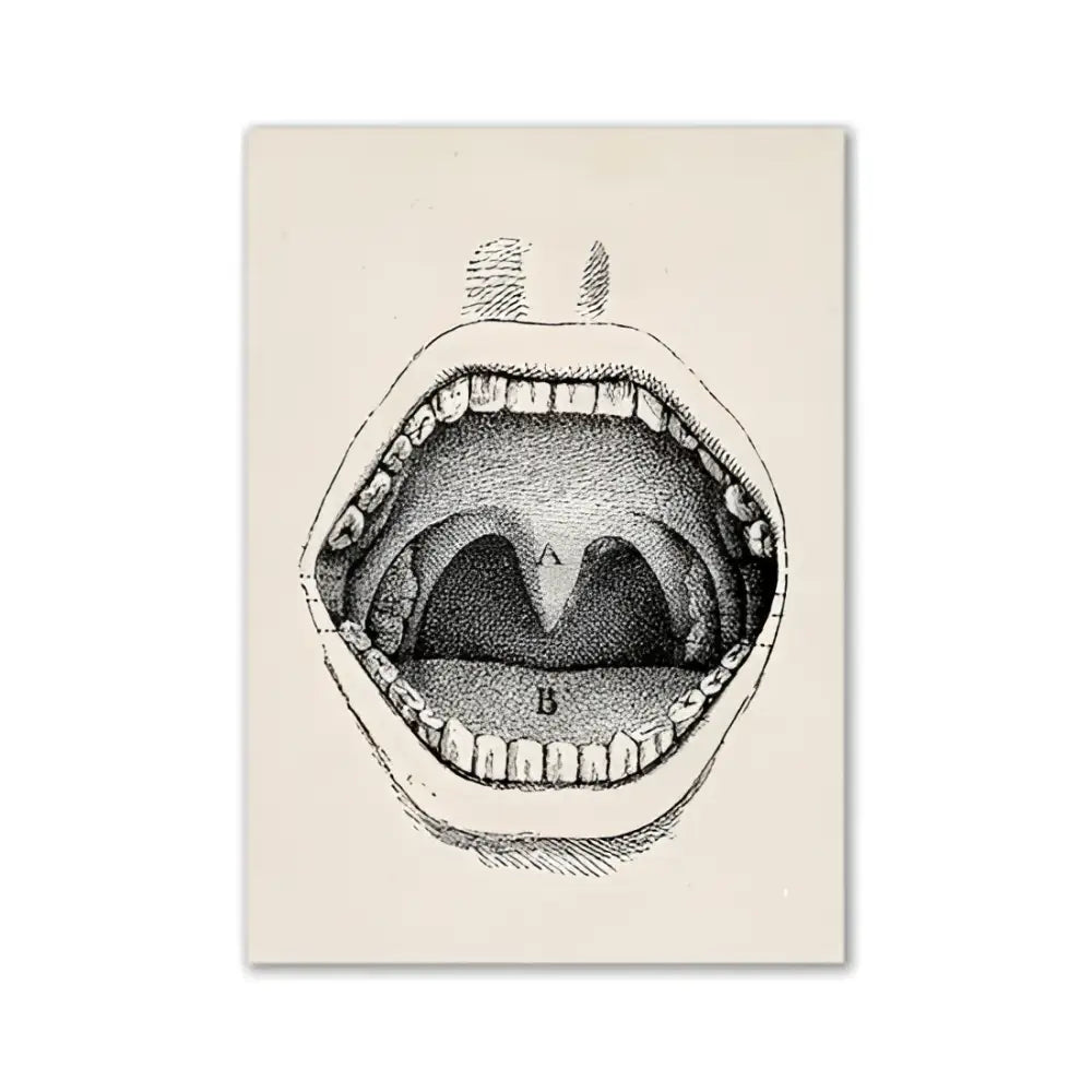 Vintage human anatomy skeleton canvas print for study or living room