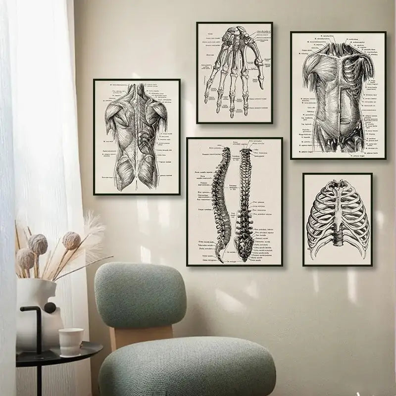 Vintage human anatomy foot skeleton canvas print bedroom wall art