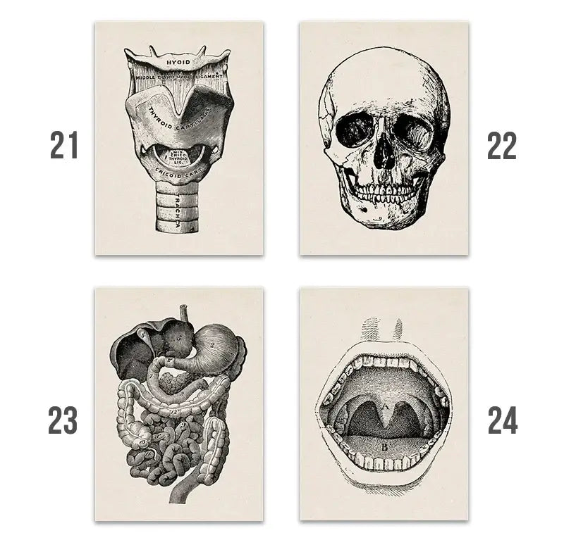 Vintage human anatomy canvas print – bedroom wall art